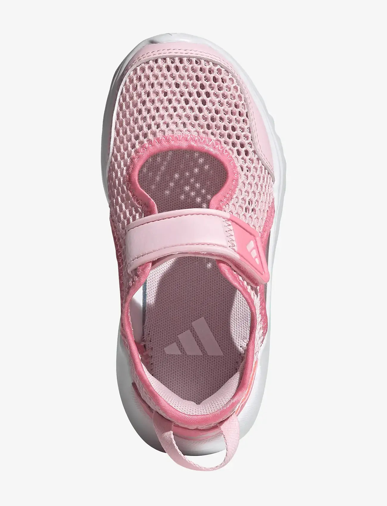 adidas Sportswear - SUMMERFLEX C - buty treningowe - clpink/blipnk/blilil - 5