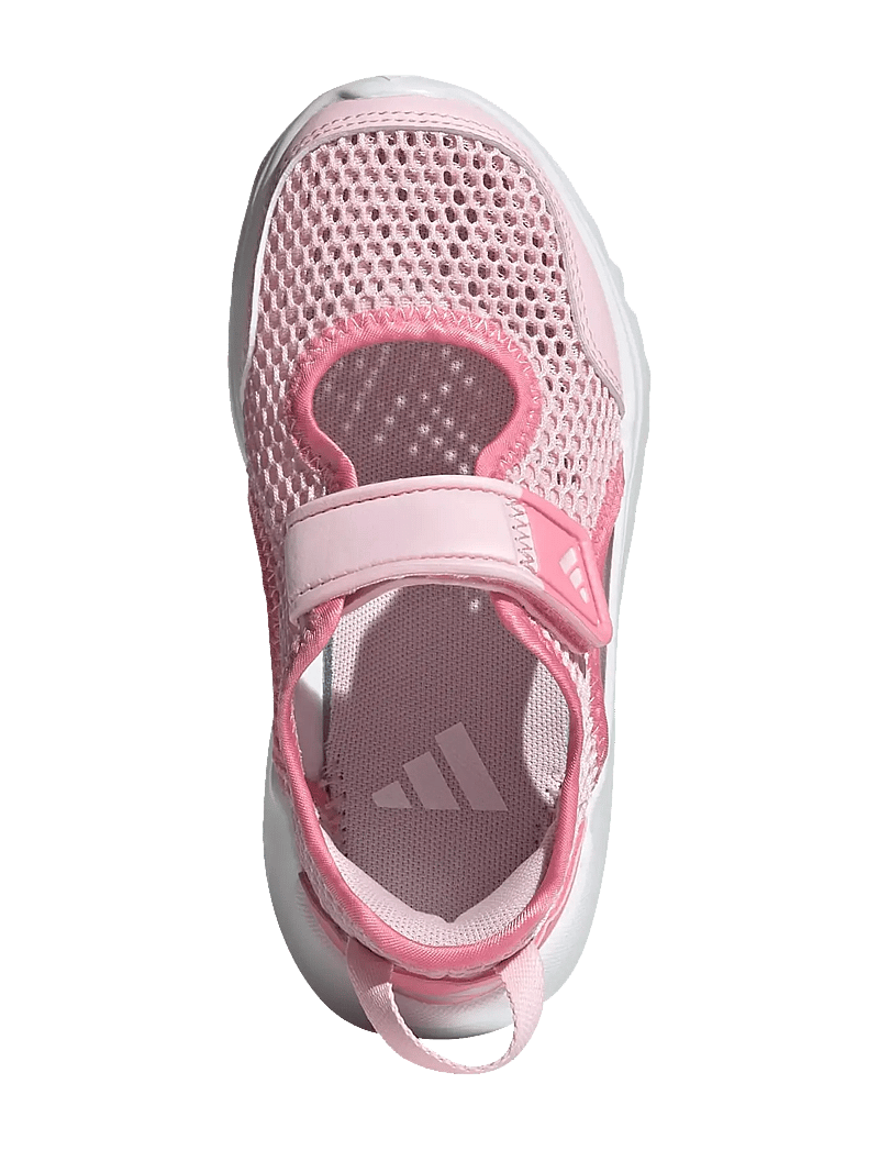 adidas Sportswear - SUMMERFLEX C - sandales - clpink/blipnk/blilil - 5