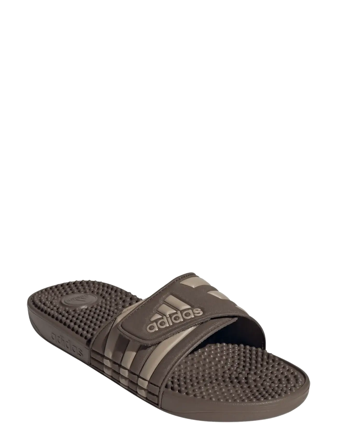 adidas Sportswear ADISSAGE - adidas - EARSTR/TRAKHA/EARSTR / brown