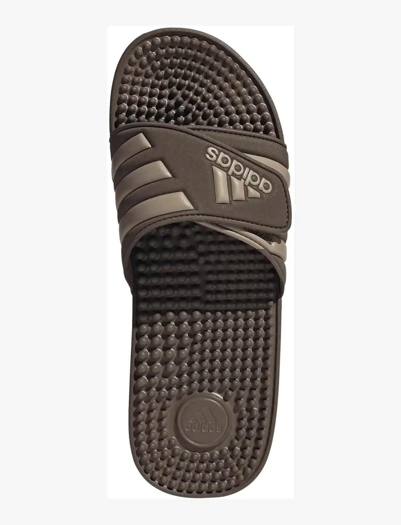 adidas Sportswear - ADISSAGE - pool-sandalen - earstr/trakha/earstr - 4