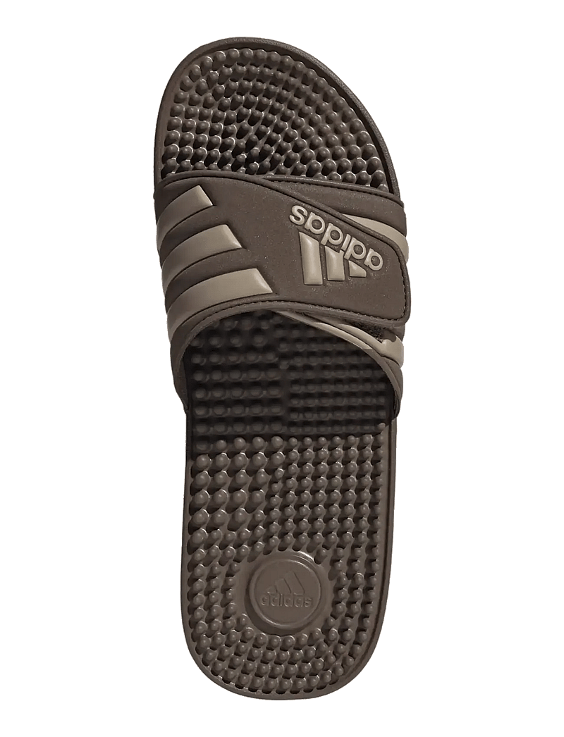 adidas Sportswear - ADISSAGE - pool-sandalen - earstr/trakha/earstr - 4