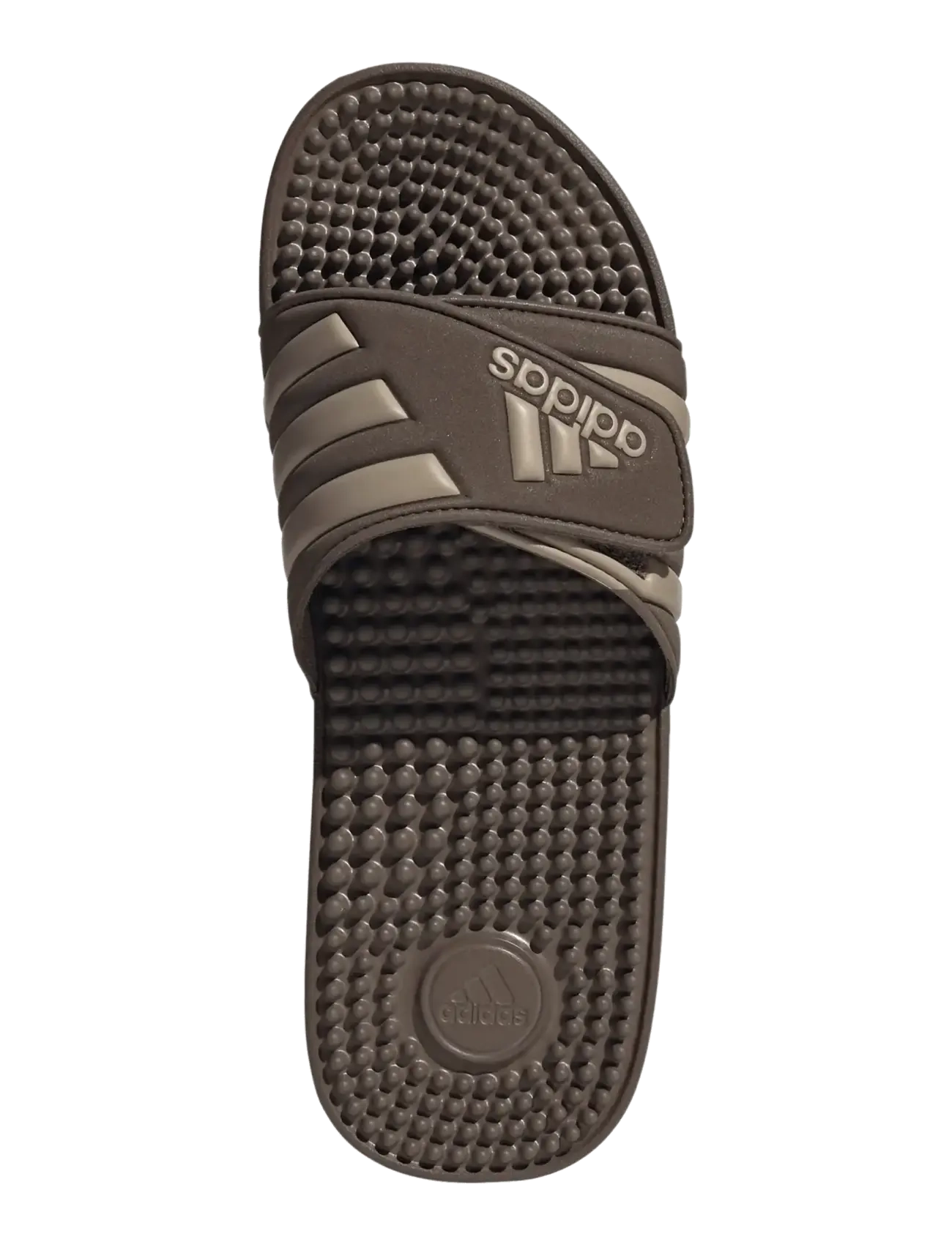 adidas Sportswear - ADISSAGE - sandals & slippers - earstr/trakha/earstr - 4