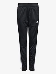 adidas Sportswear - U 3S TIBERIO TS - joggingsæt - betsca/white/black/wh - 2