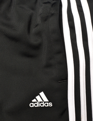 adidas Sportswear - U 3S TIBERIO TS - sportinė apranga - betsca/white/black/wh - 7