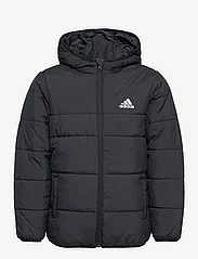 adidas Sportswear - JK PAD JKT - insulated jackets - black - 0