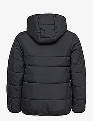 adidas Sportswear - JK PAD JKT - insulated jackets - black - 1