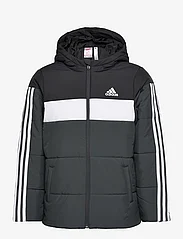 adidas Sportswear - Padded Jacket Kids - dunjakker & forede jakker - black - 0