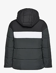 adidas Sportswear - Padded Jacket Kids - dunjakker & forede jakker - black - 1