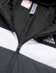 adidas Sportswear - Padded Jacket Kids - daunen- und steppjacken - black - 2