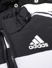 adidas Sportswear - IN F PAD JKT - boblejakker og fôrede jakker - black - 2