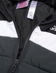 adidas Sportswear - IN F PAD JKT - boblejakker og fôrede jakker - black - 3
