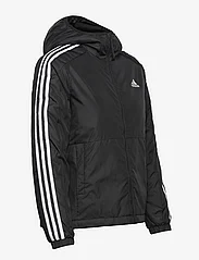 adidas Sportswear - W 3S ESS IN H J - pavasarinės striukės - black - 3