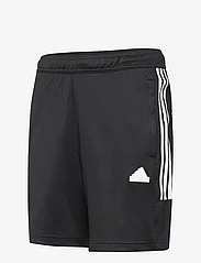 adidas Sportswear - M TIRO SHO Q1 - sports shorts - black - 2
