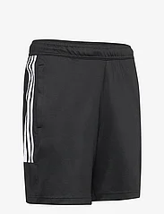 adidas Sportswear - M TIRO SHO Q1 - sports shorts - black - 3
