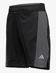 adidas Sportswear - J HEA SHORTS - sportsshorts - black/grethr/refsil - 2