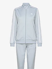 adidas Sportswear - W 3S TR TS - hoodies - wonblu/white - 0