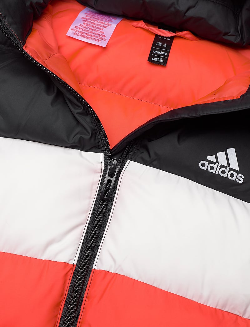 adidas Sportswear Lk Sd Jkt 80 Buy Winter jacket from adidas