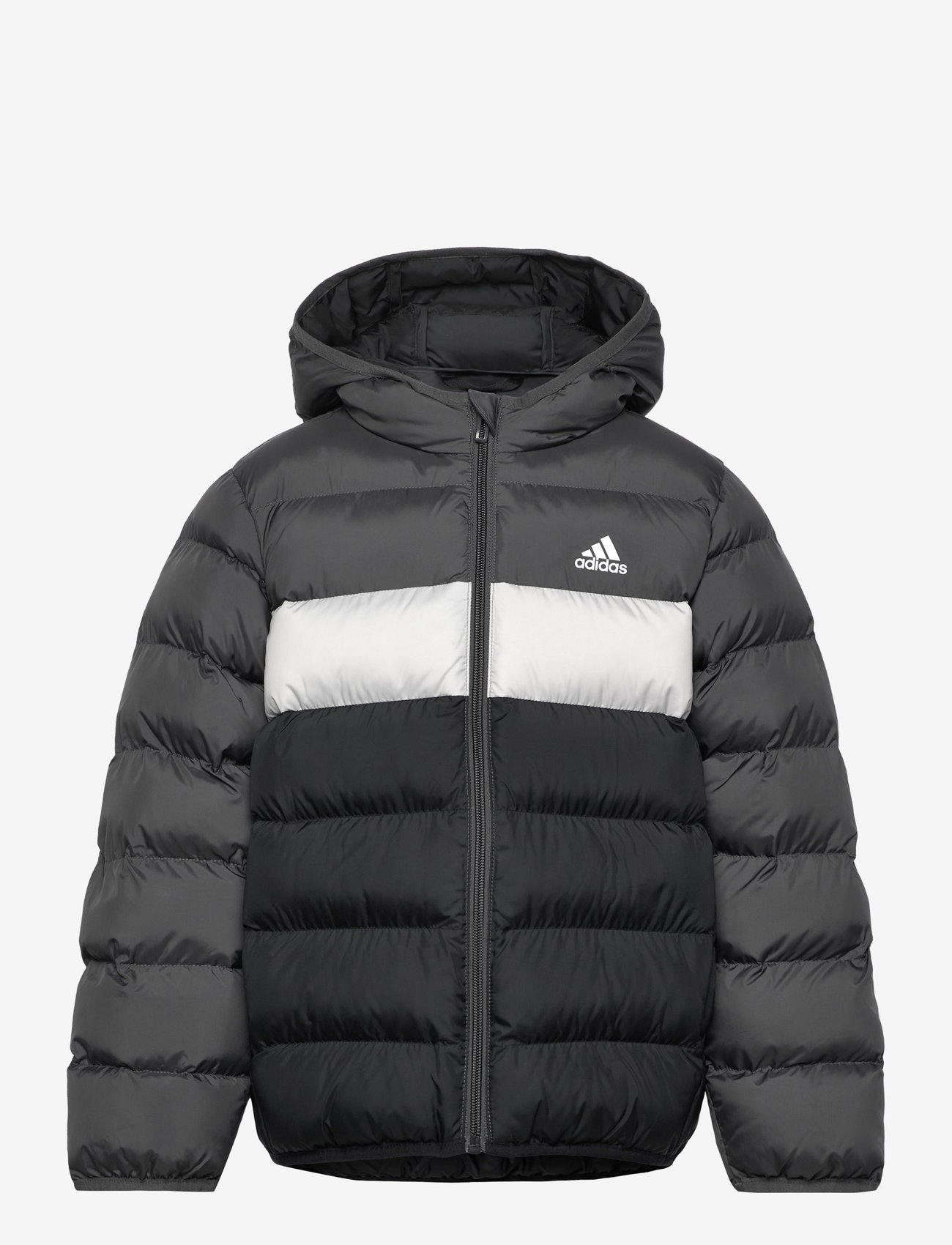 adidas Sportswear J Sd Jkt 85 Buy Winter jacket from adidas Sportswear  online at Fast delivery and easy returns