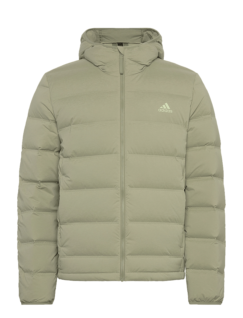 adidas Sportswear - HELIONIC STRETCH HOODED DOWN JACKET - sulejoped ja voodriga joped - tengrn - 0