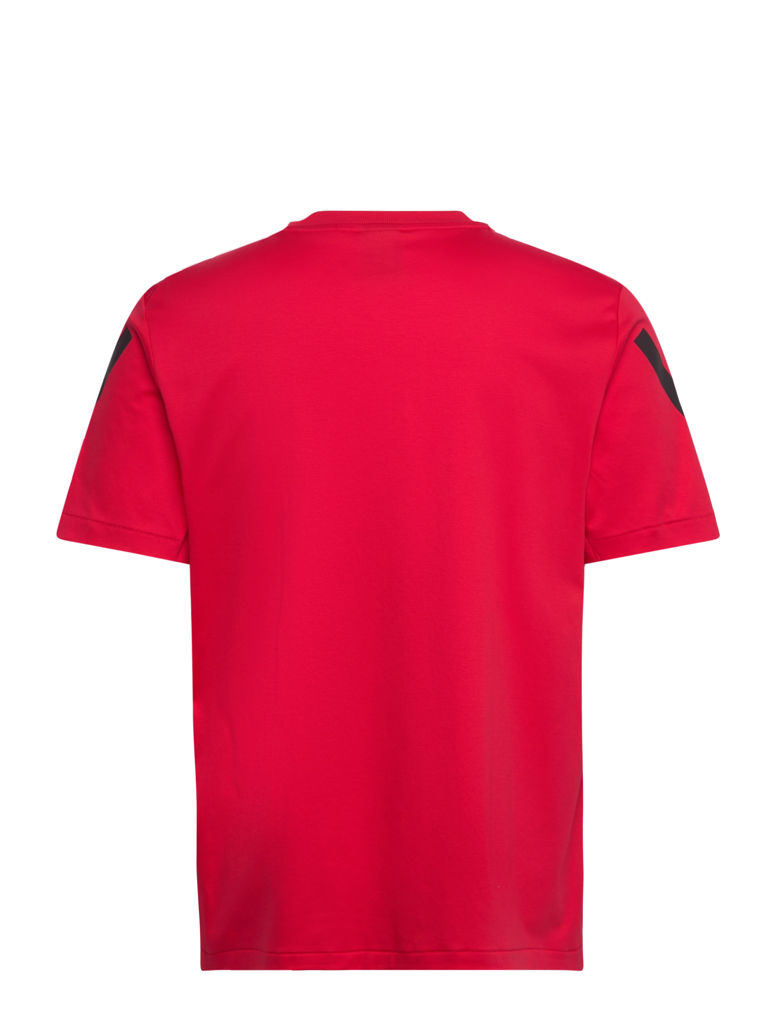 adidas Sportswear - M Z.N.E. TEE - alussärgid ja t-särgid - purrub - 2