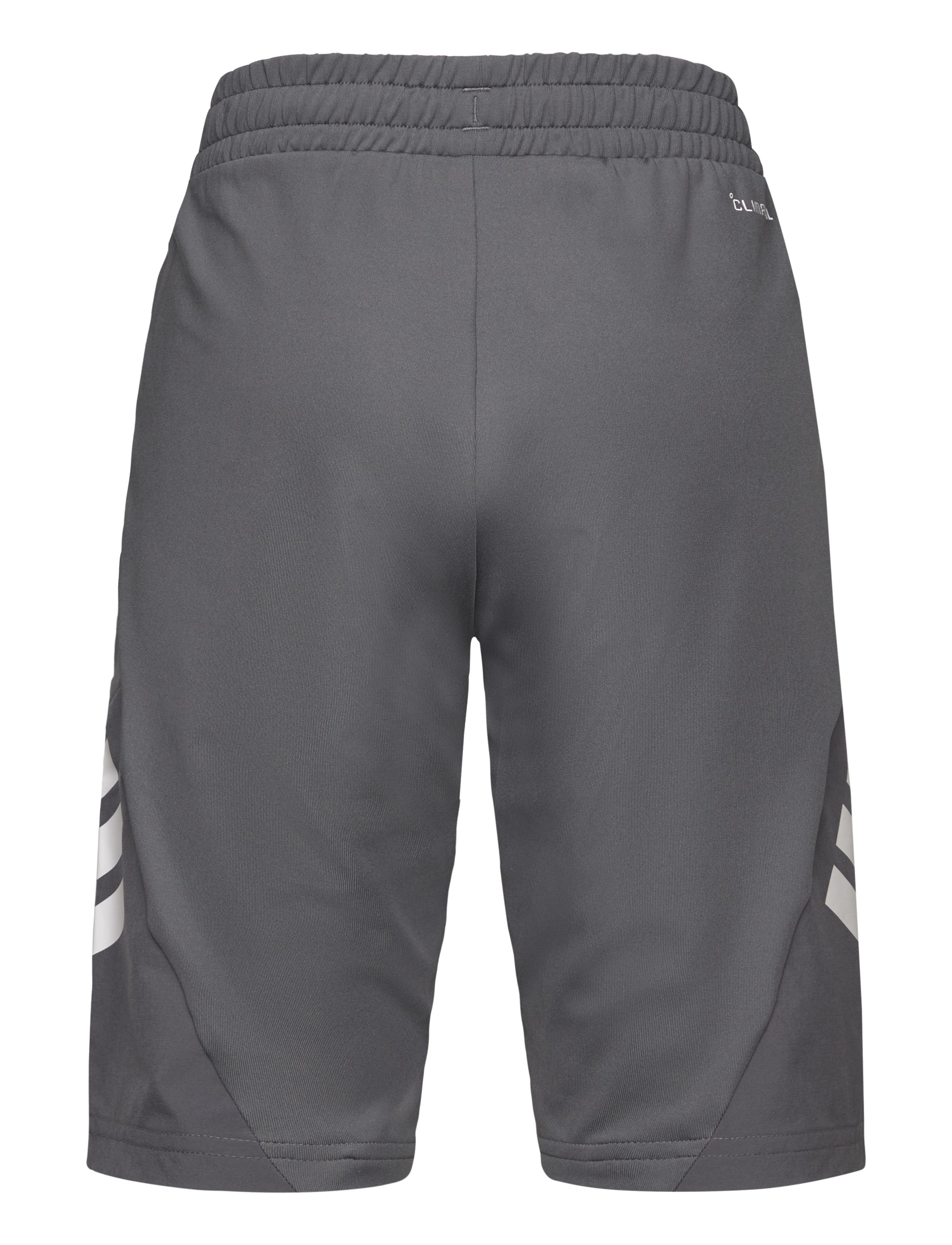 adidas Sportswear - J SPR SHORTS - grefiv/white - 2