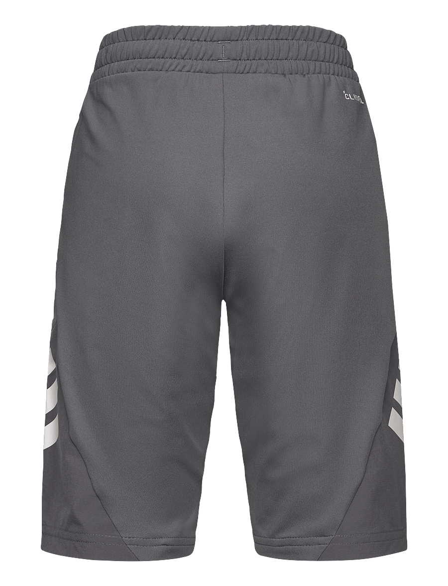 adidas Sportswear - J SPR SHORTS - grefiv/white - 2