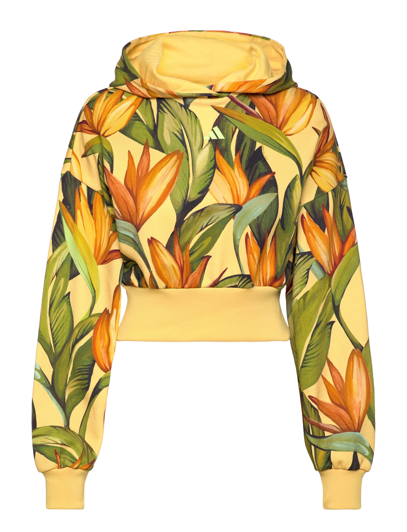 adidas Sportswear - FARM HOODIE - semspa/bogold/seflgr - 1