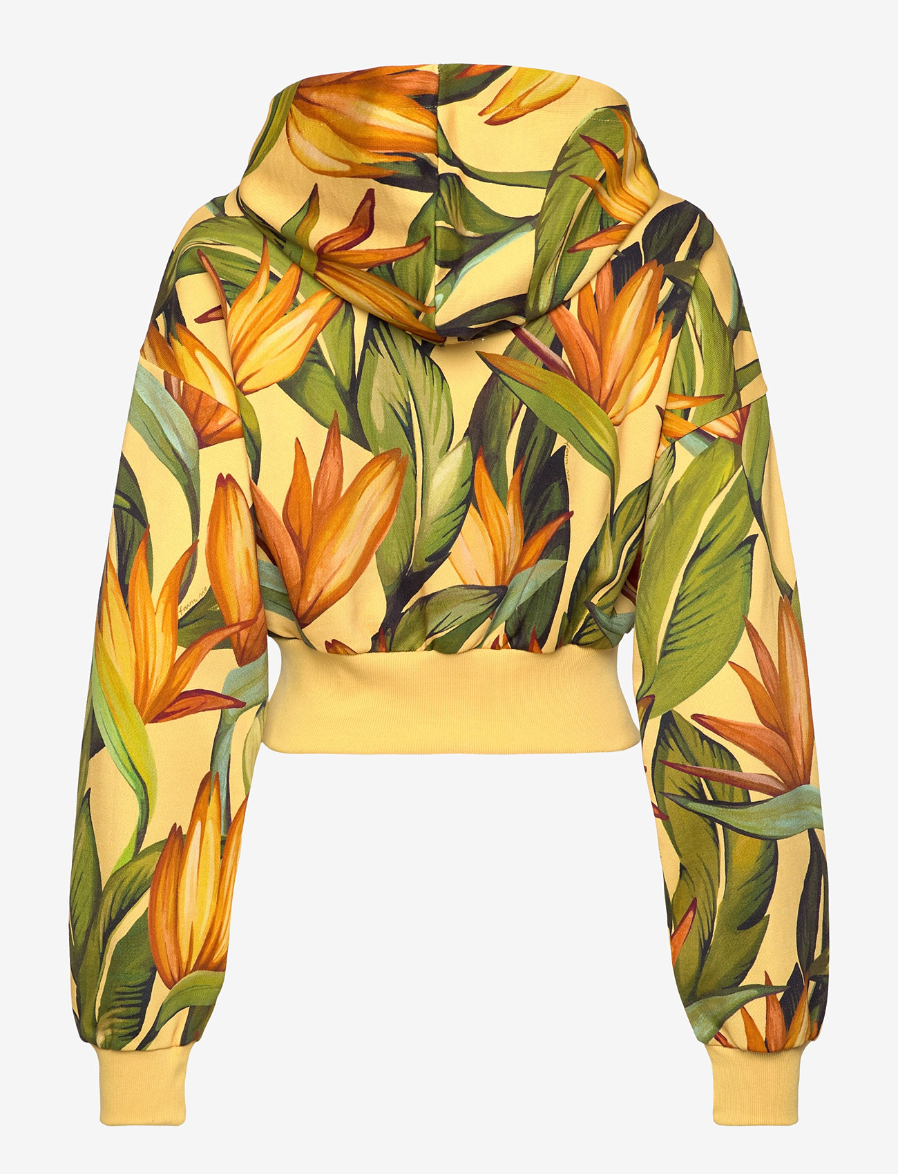 adidas Sportswear Farm Hoodie (ASRJD6283) Hoodies