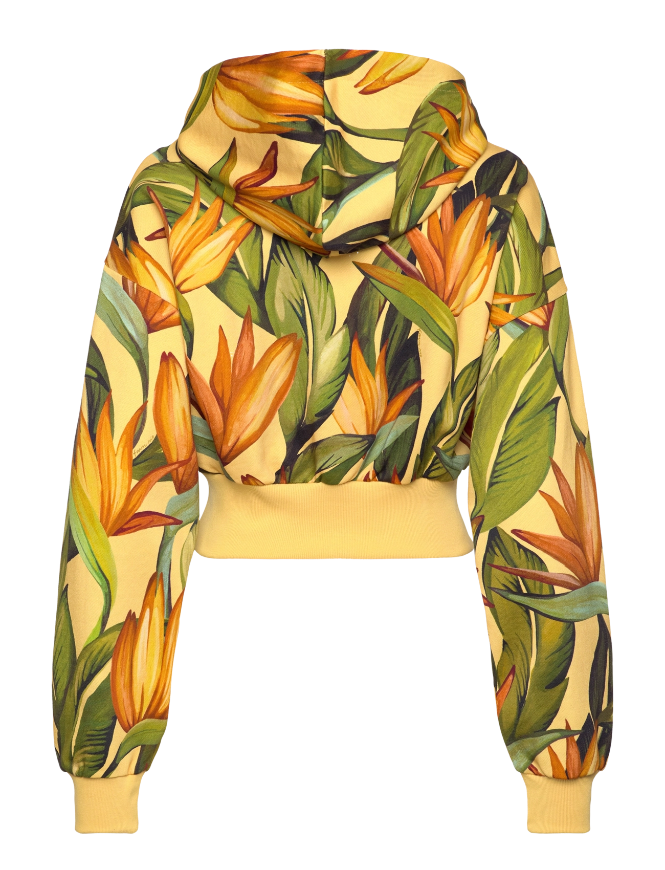 adidas Sportswear - FARM HOODIE - semspa/bogold/seflgr - 2
