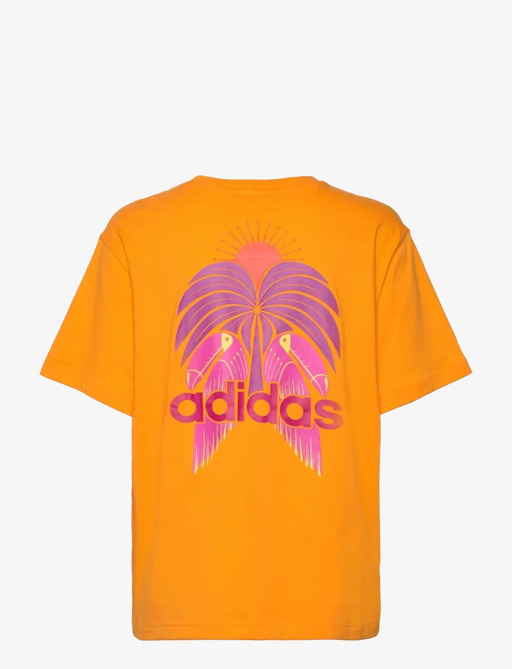 adidas Sportswear - FARM GFX TEE - t-shirts - borang - 2
