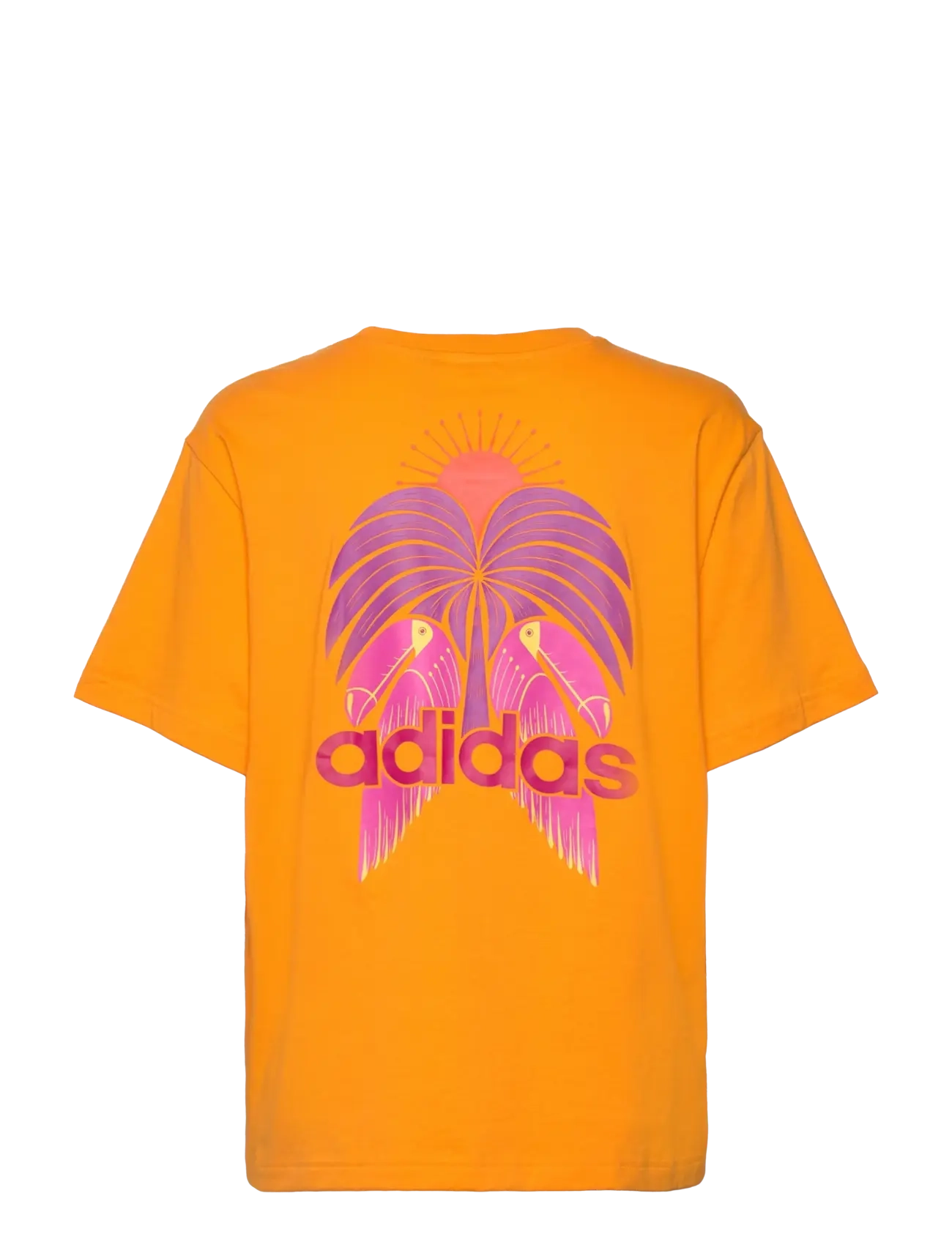 adidas Sportswear - FARM GFX TEE - stuttermarbolir - borang - 2
