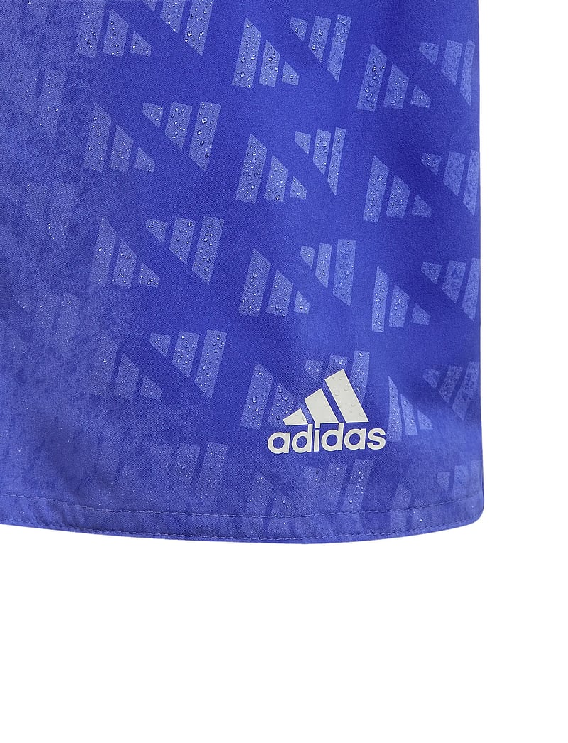 adidas Sportswear - WATER REACT BY - lühikesed ujumispüksid - cobblu/white - 4