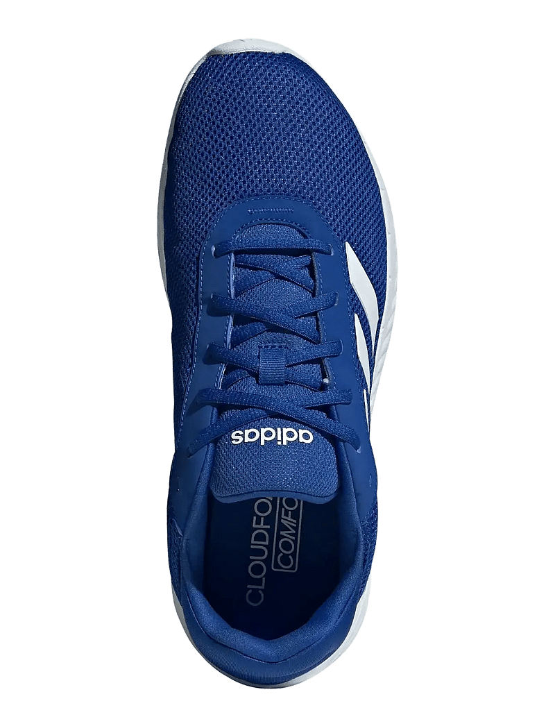 adidas Sportswear - CLOUDFOAM COMFY - royblu/ftwwht/ftwwht - 4