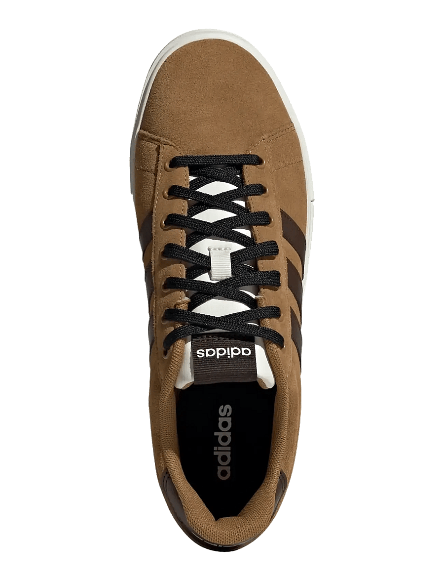 adidas Sportswear - DAILY 4.0 - niedriger schnitt - brostr/dbrown/owhite - 4