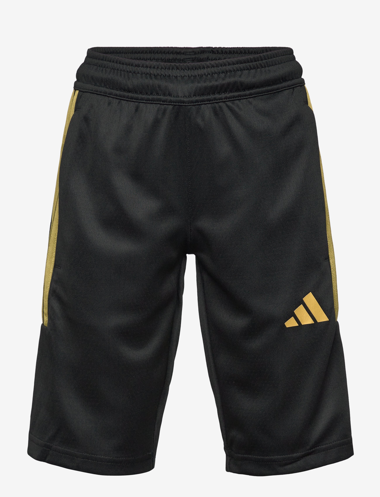 adidas Sportswear - J HOT COF SHO - sportsshorts - black/goldmt - 1