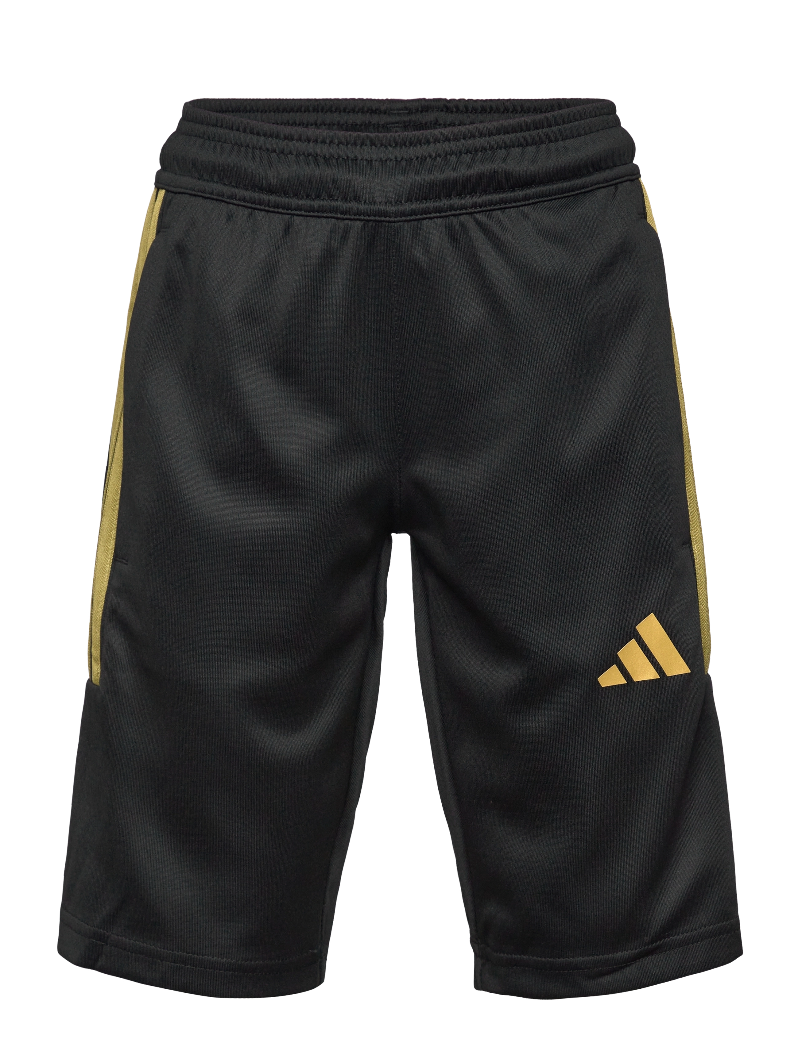 BLACK/GOLDMT