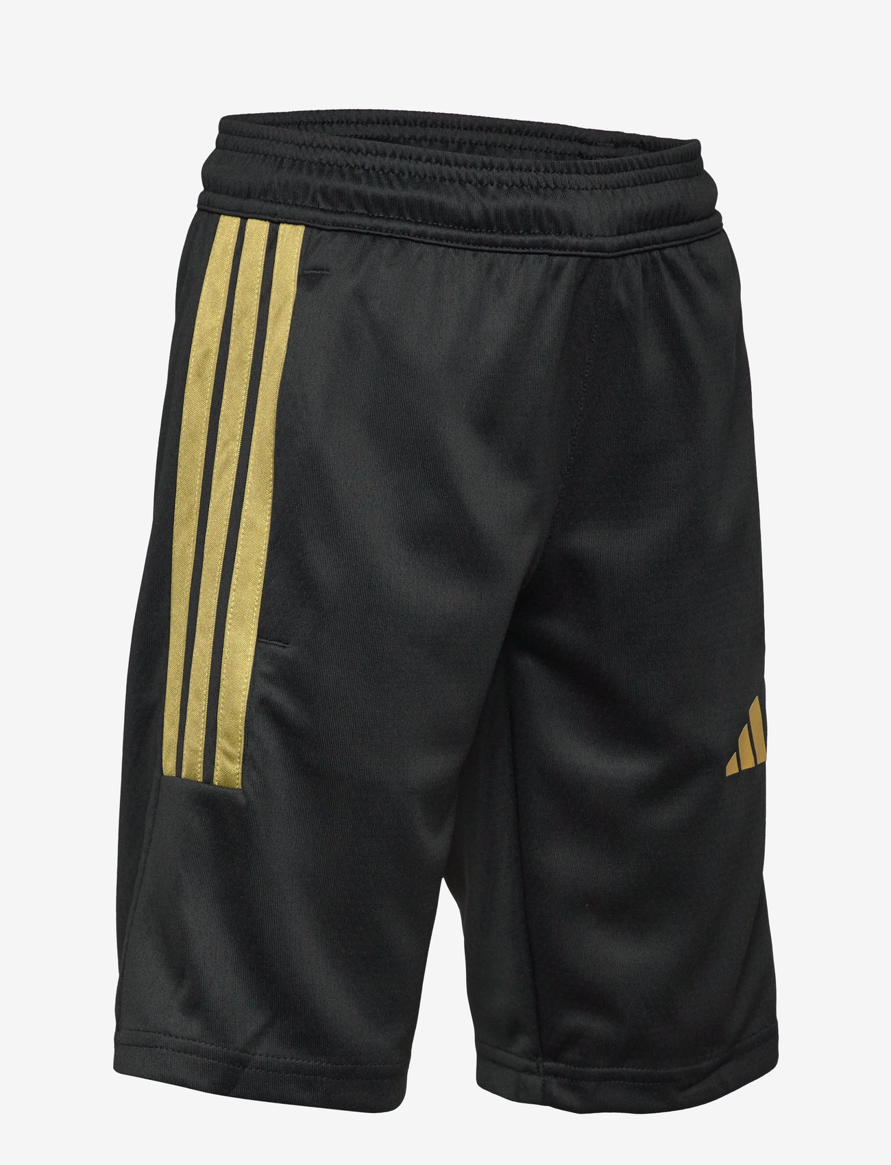 adidas Sportswear - J HOT COF SHO - sportsshorts - black/goldmt - 3