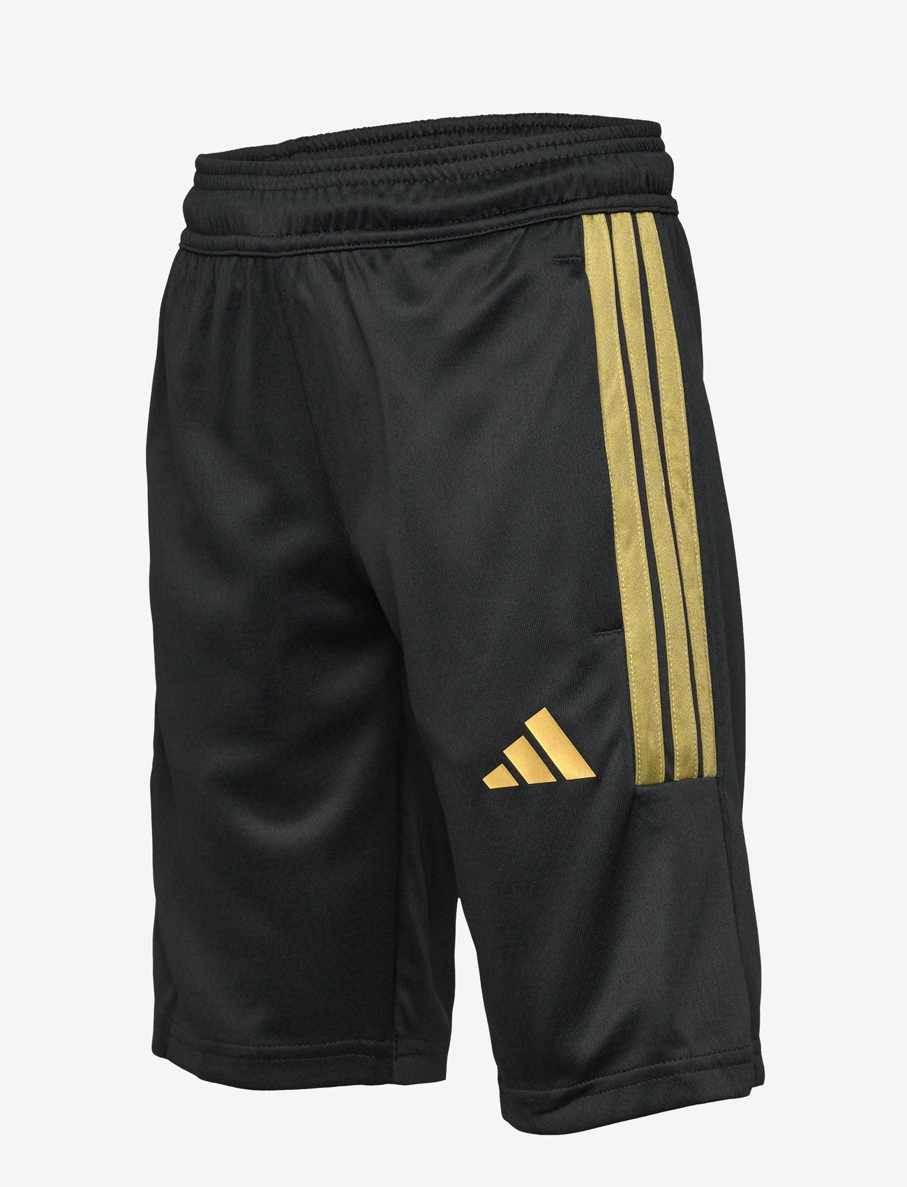 adidas Sportswear - J HOT COF SHO - sportsshorts - black/goldmt - 4
