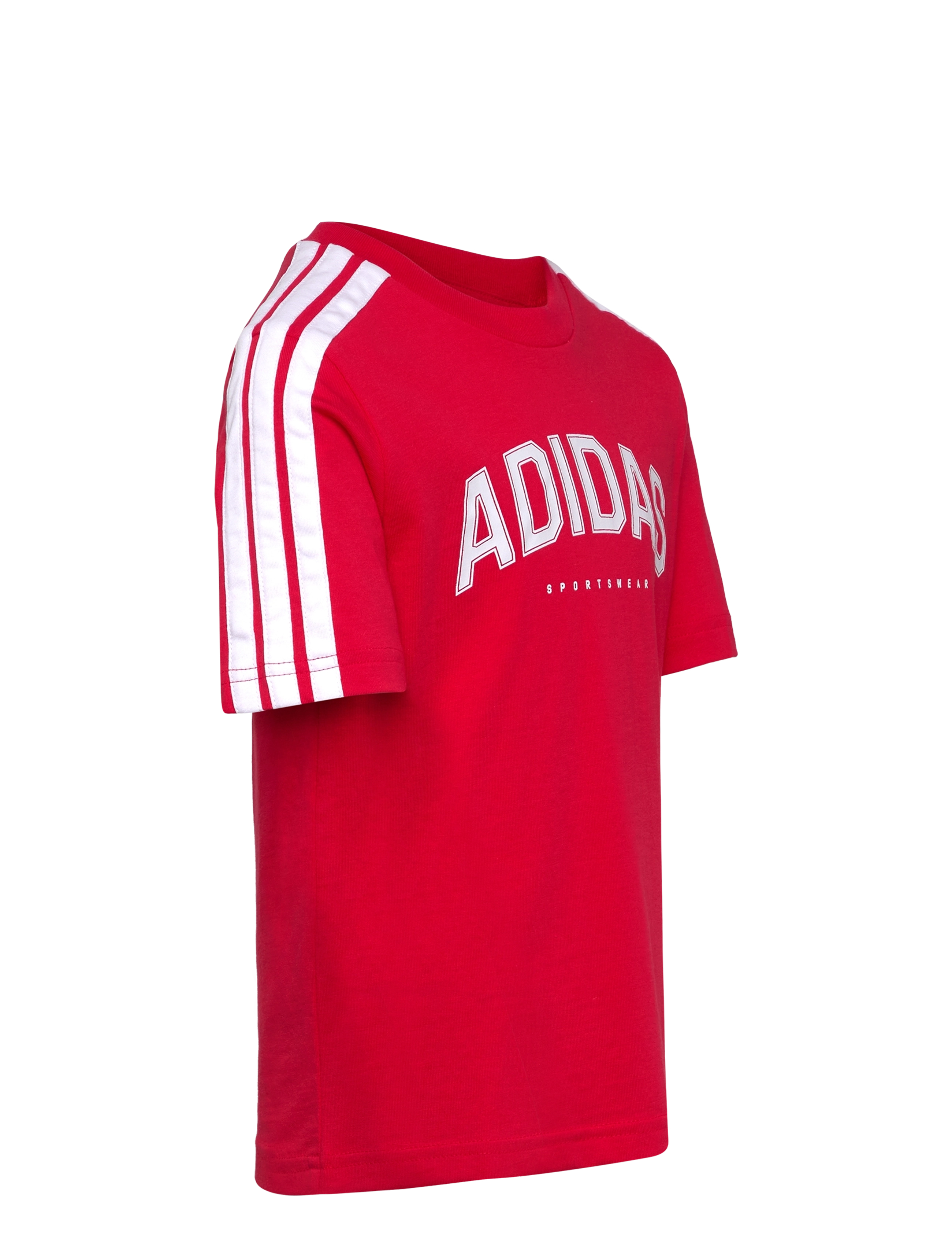 adidas Sportswear - J C COLLEG TEE - kurzärmelig - purrub - 3