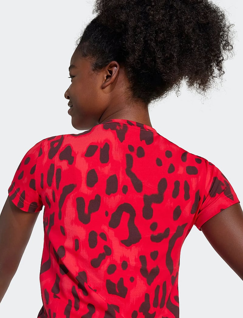 adidas Sportswear - JG FI AOP T - kurzärmelig - purrub/betsca/aurrub/ - 3