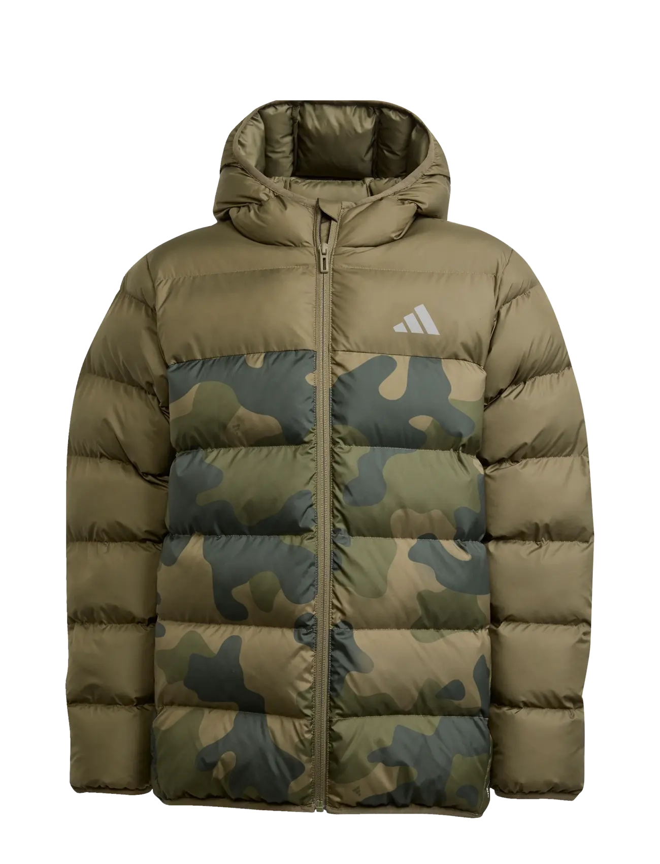 adidas Sportswear J SD AOP JKT - Vintertøj - OLISTR / khaki/green