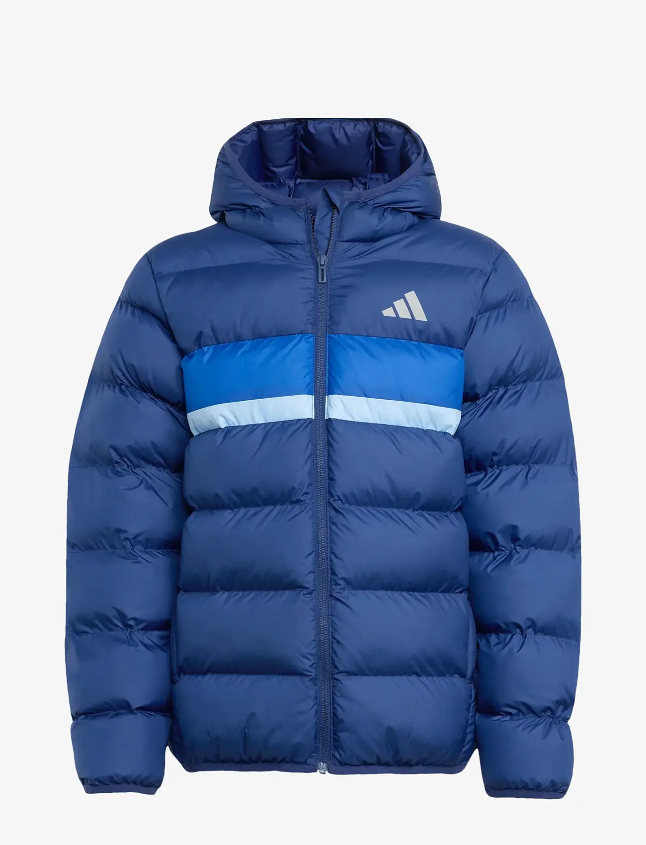 adidas Sportswear - J SD JKT - paksud joped - dkblue/royblu/globlu - 1