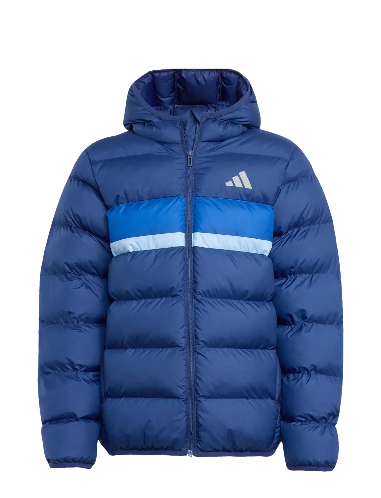 adidas Sportswear J SD JKT - Vintertøj - DKBLUE/ROYBLU/GLOBLU / blue
