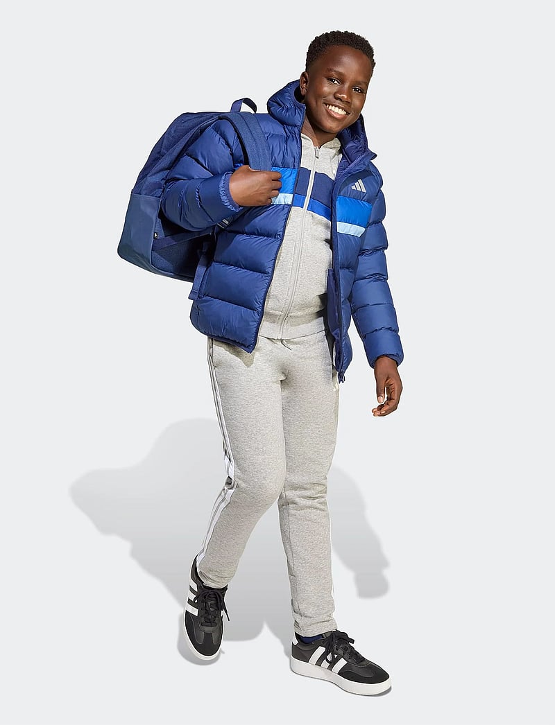 adidas Sportswear - J SD JKT - paksud joped - dkblue/royblu/globlu - 0