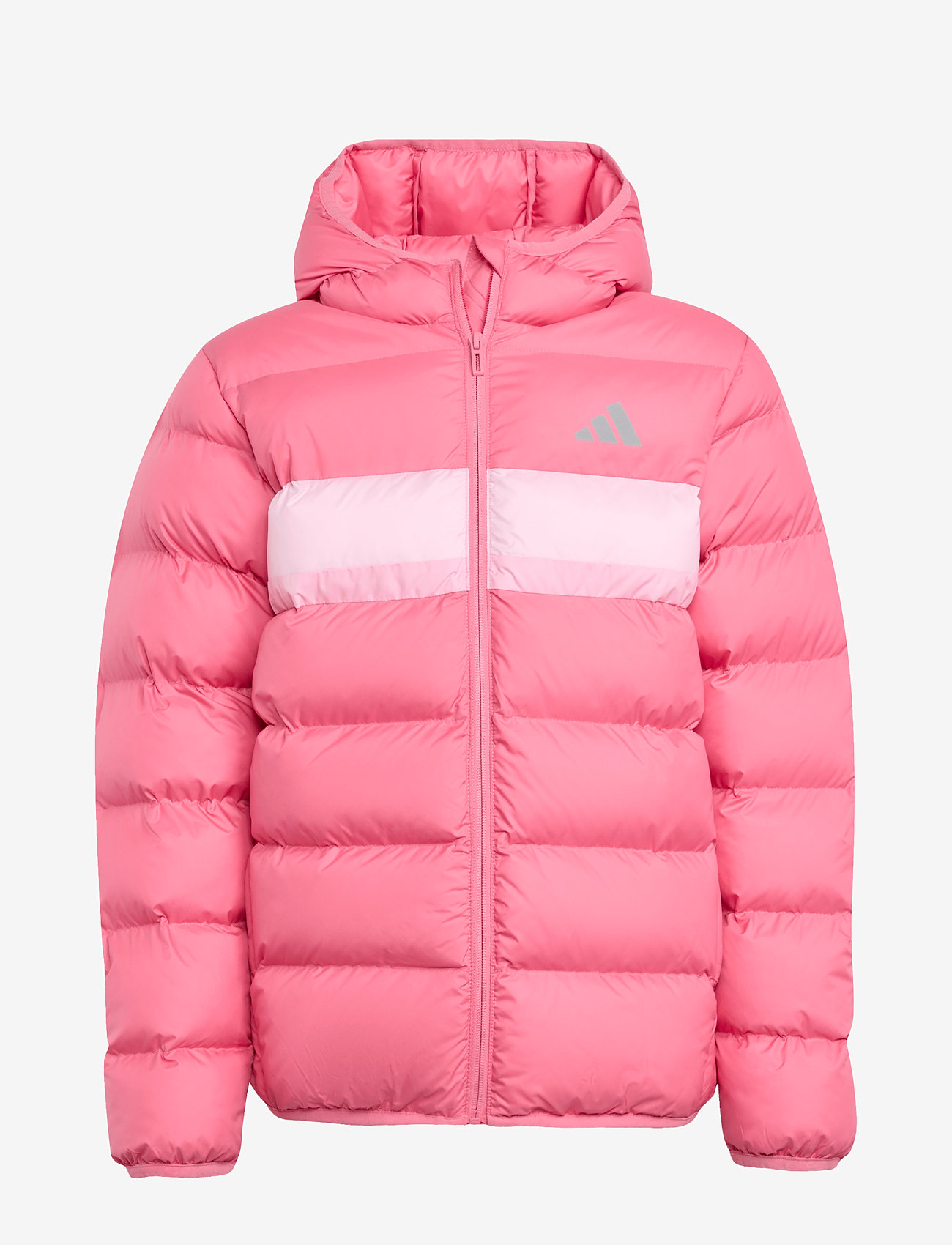 adidas Sportswear - J SD JKT - isolerade jackor - pnkfus/clpink/trupnk - 1