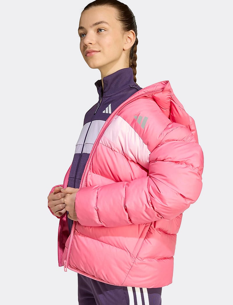 adidas Sportswear - J SD JKT - isolerade jackor - pnkfus/clpink/trupnk - 2