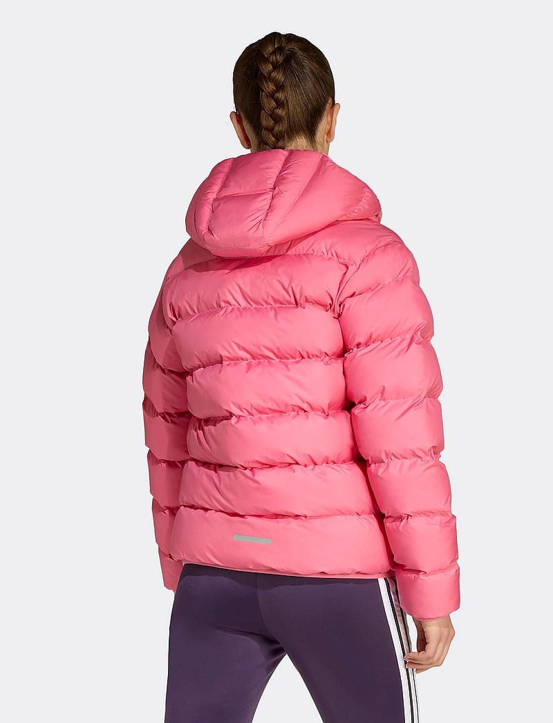 adidas Sportswear - J SD JKT - isolerade jackor - pnkfus/clpink/trupnk - 3