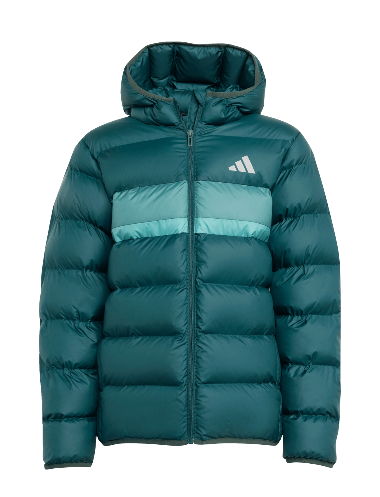 ADIDAS SPORTSWEAR J Sd Jkt Grün - 164 - Kinder
