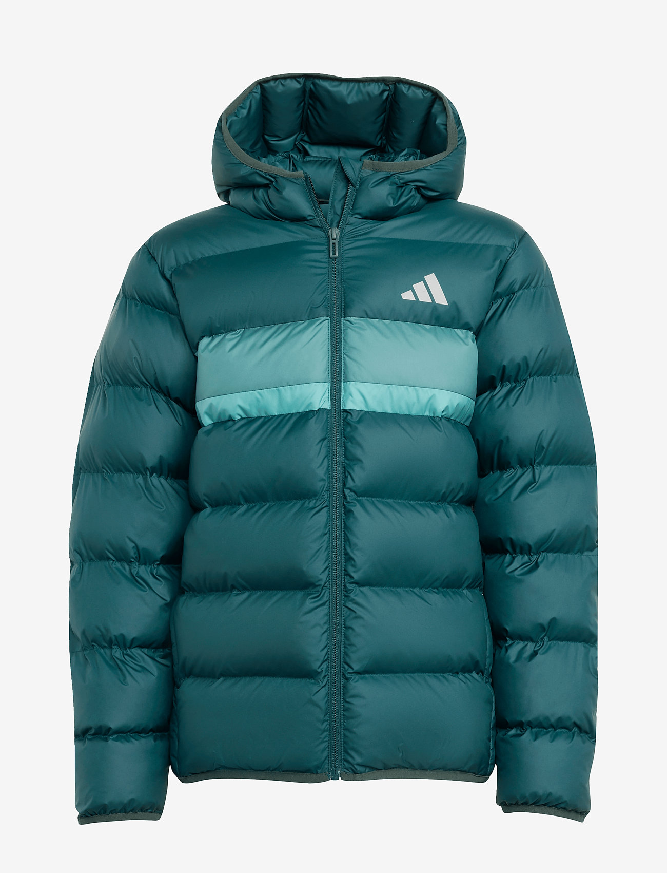 adidas Sportswear - J SD JKT - insulated jackets - aurivy/pretea/powtea - 1