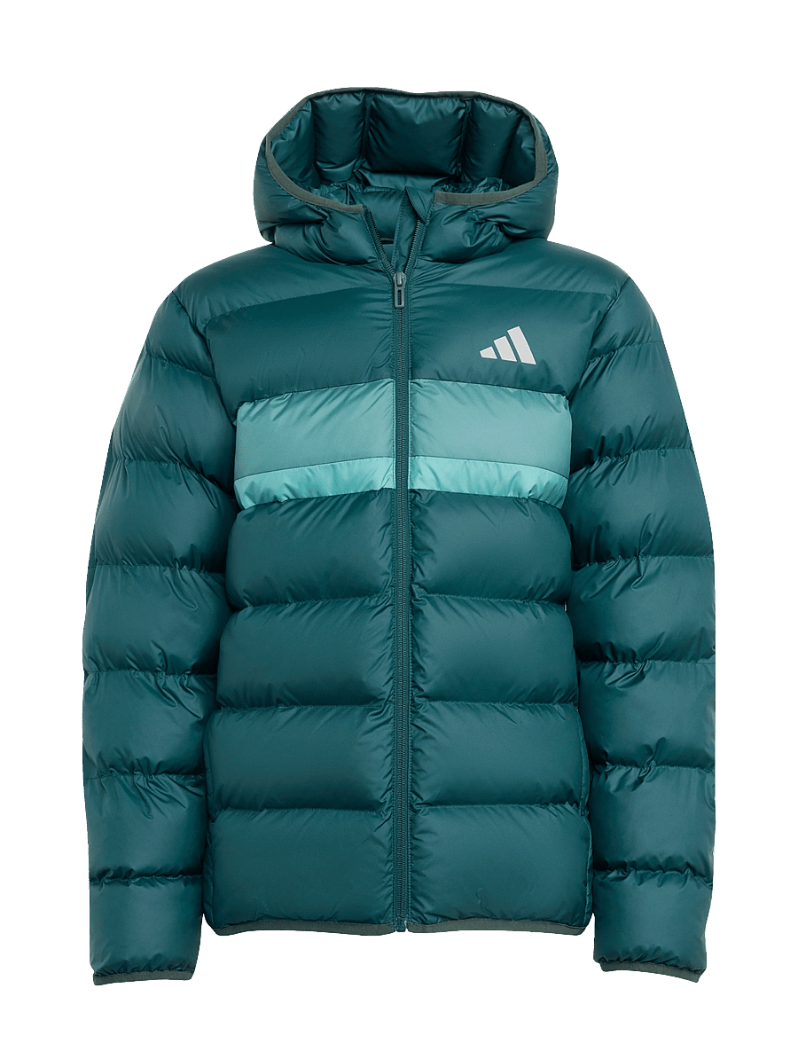 adidas Sportswear - J SD JKT - isolierte jacken - aurivy/pretea/powtea - 1